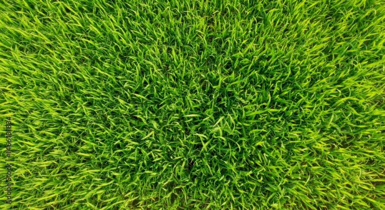 1000_F_1466181834_b4zl7GDgLKYfmSjmz5ziXFhbZE1eJVDE