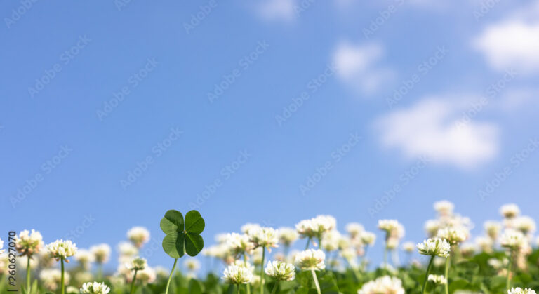 1000_F_260627070_1EzyHlw7rd9OzKLJCTHuMnuydhDqhrvY