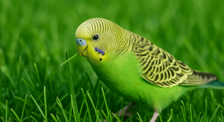 d733a47f-21be-46a8-b9c7-5a9e566f3ece