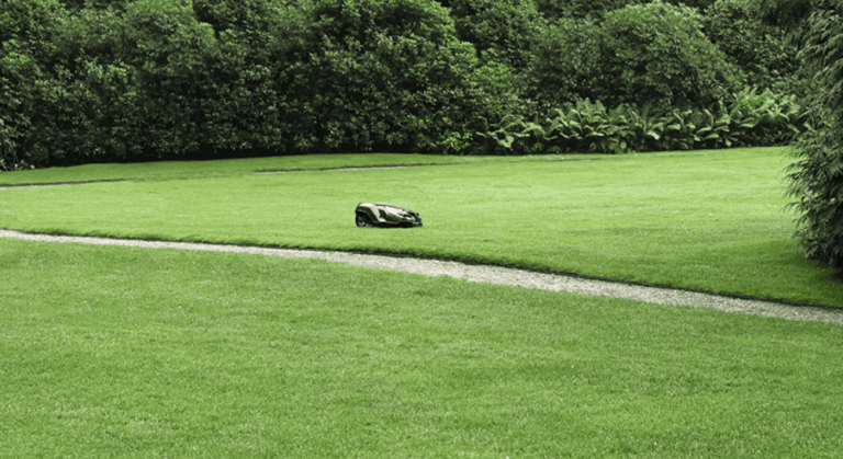 f113820a-4e01-4737-85e0-10f49fdbcb07