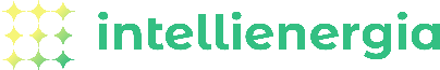 Intellienergia Srl - capofila del progetto